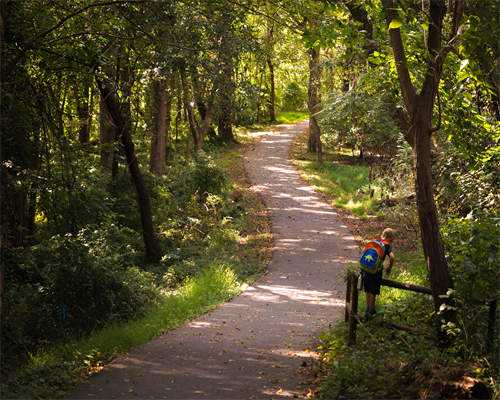 胚胎移植后心慌正常吗